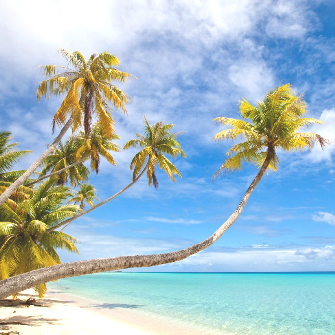 Image of a desert island for Desert Island Discs Archive project produced by Loftus Media
